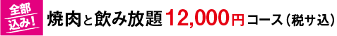 焼肉12000円飲み放題付き